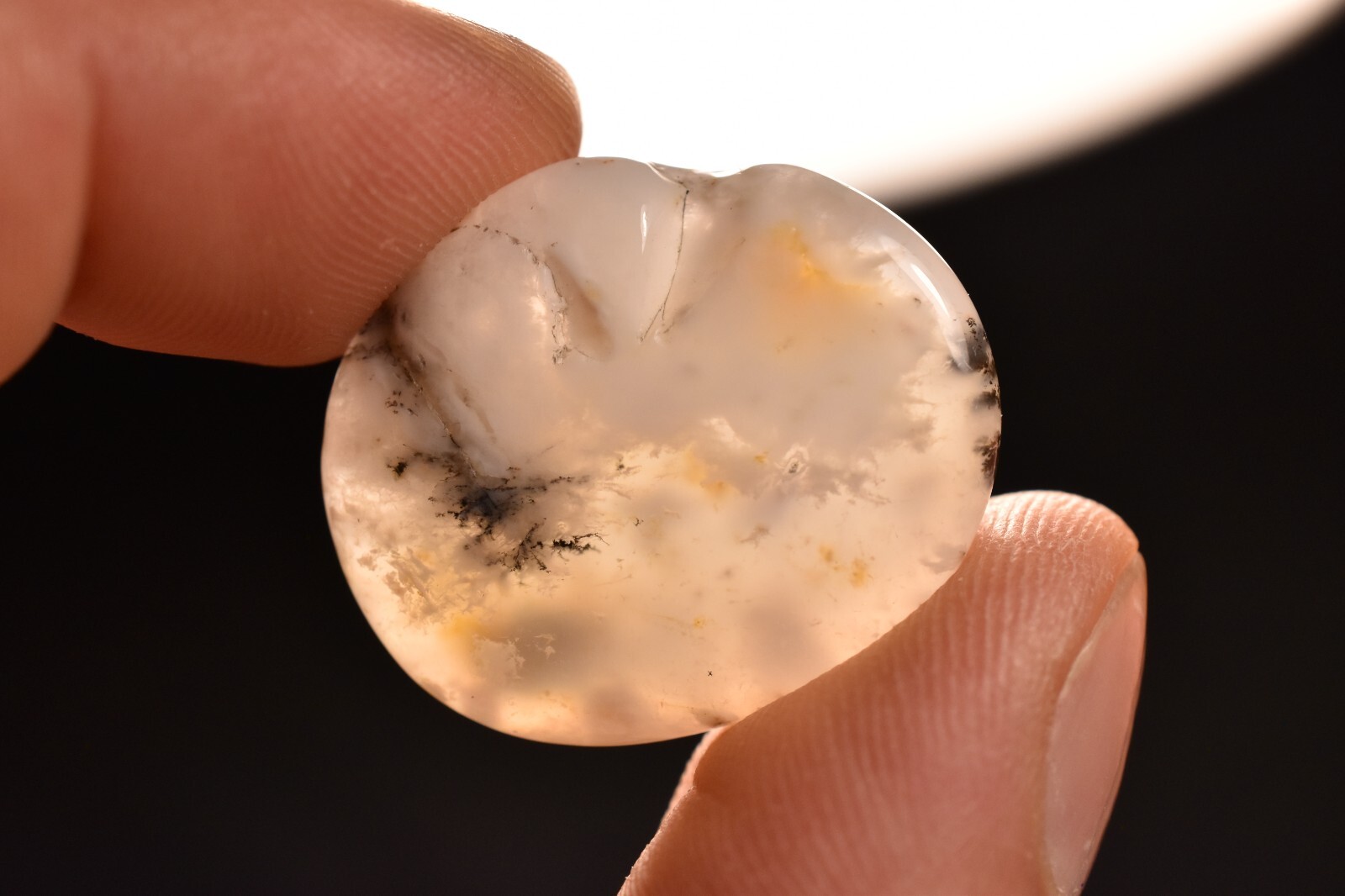 *DENDRITIC AGATE* Flat Stone 2.8cm 7.7g MERLINITE Chalcedony Palm Natural