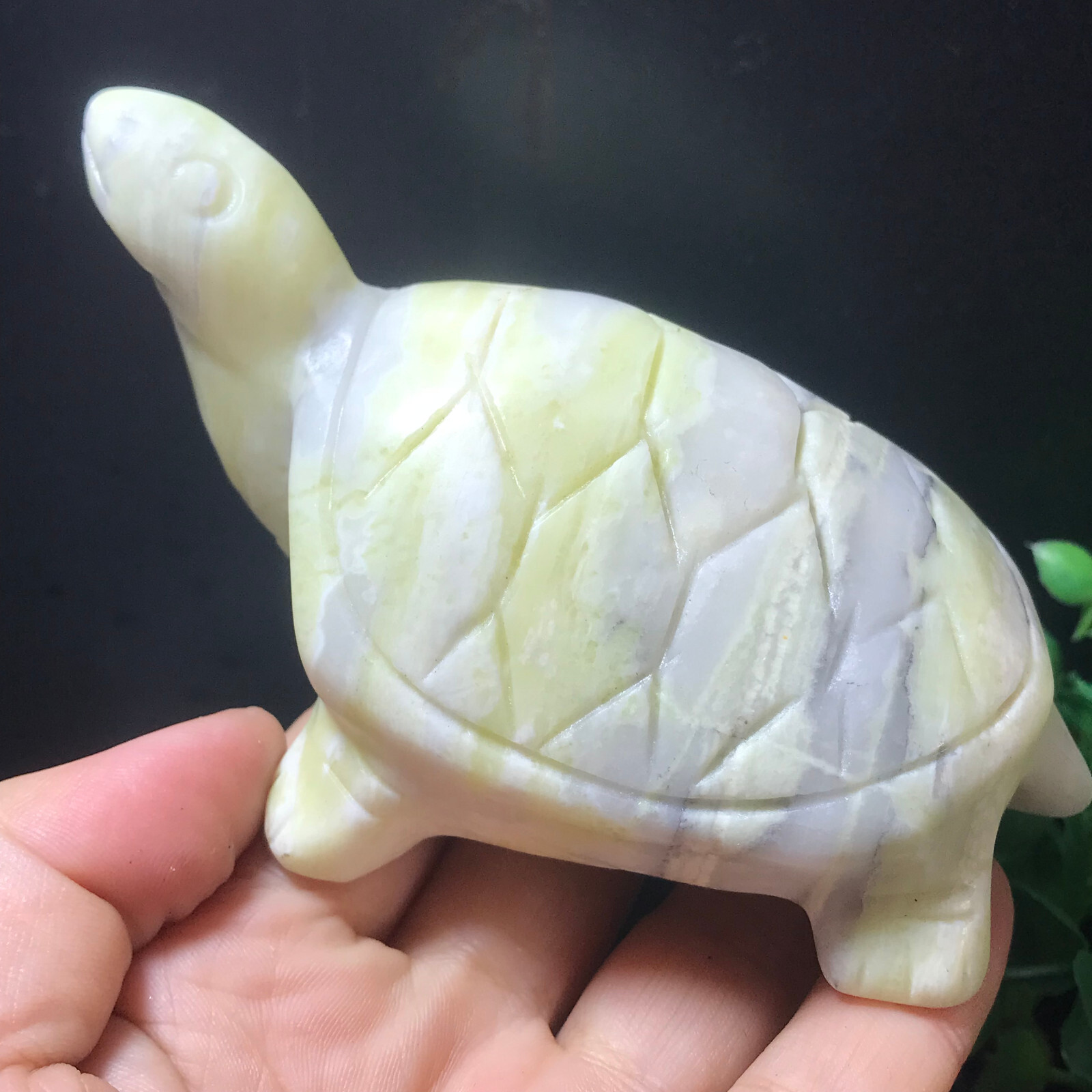 350g Green Jasper Quartz Hand Carved Crystal tortoise 01