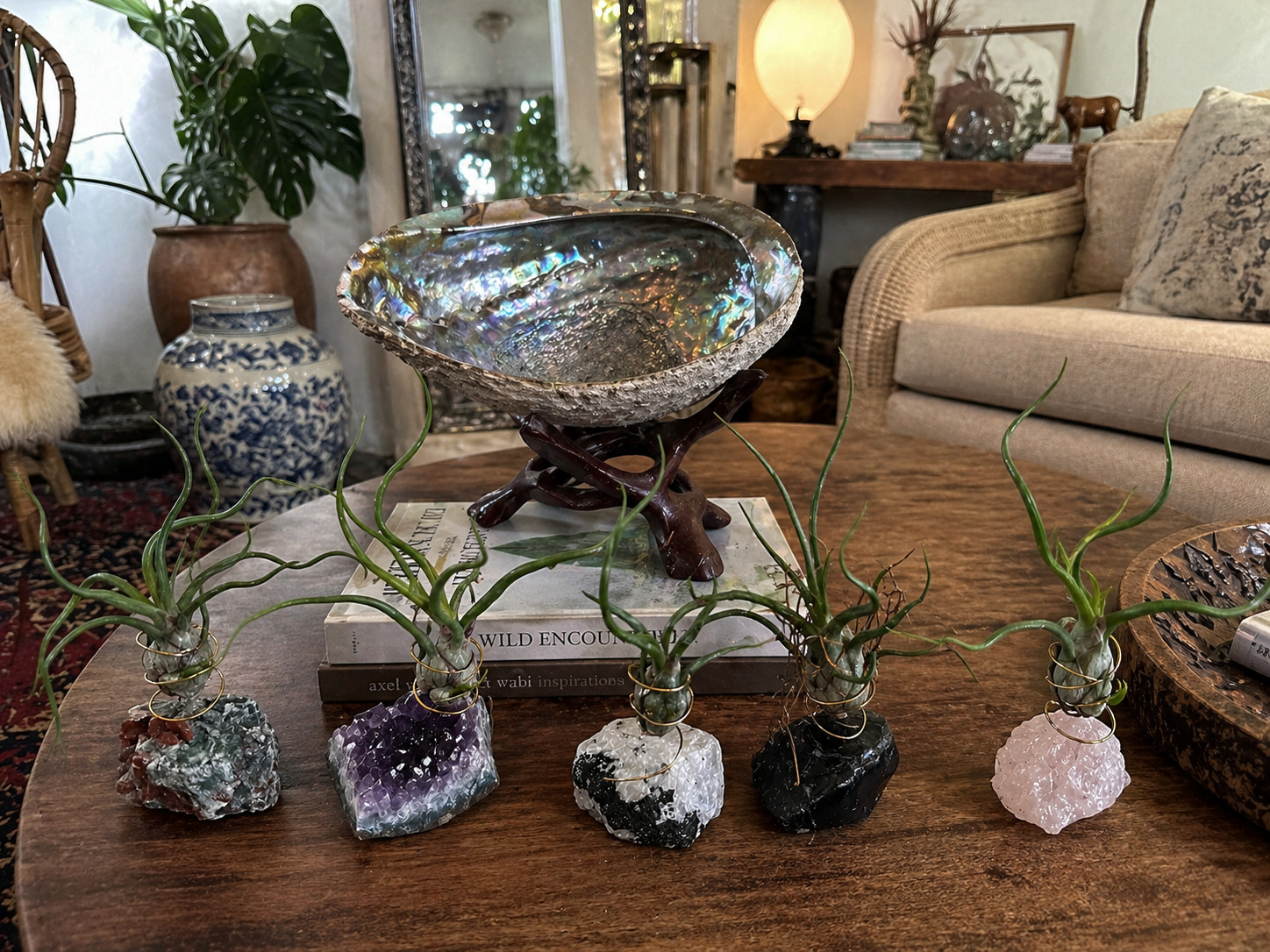 Air Plant Holder Geode Crystal w/ Bulbosa + Spray Bottle & Care Kit BOHO GIFT