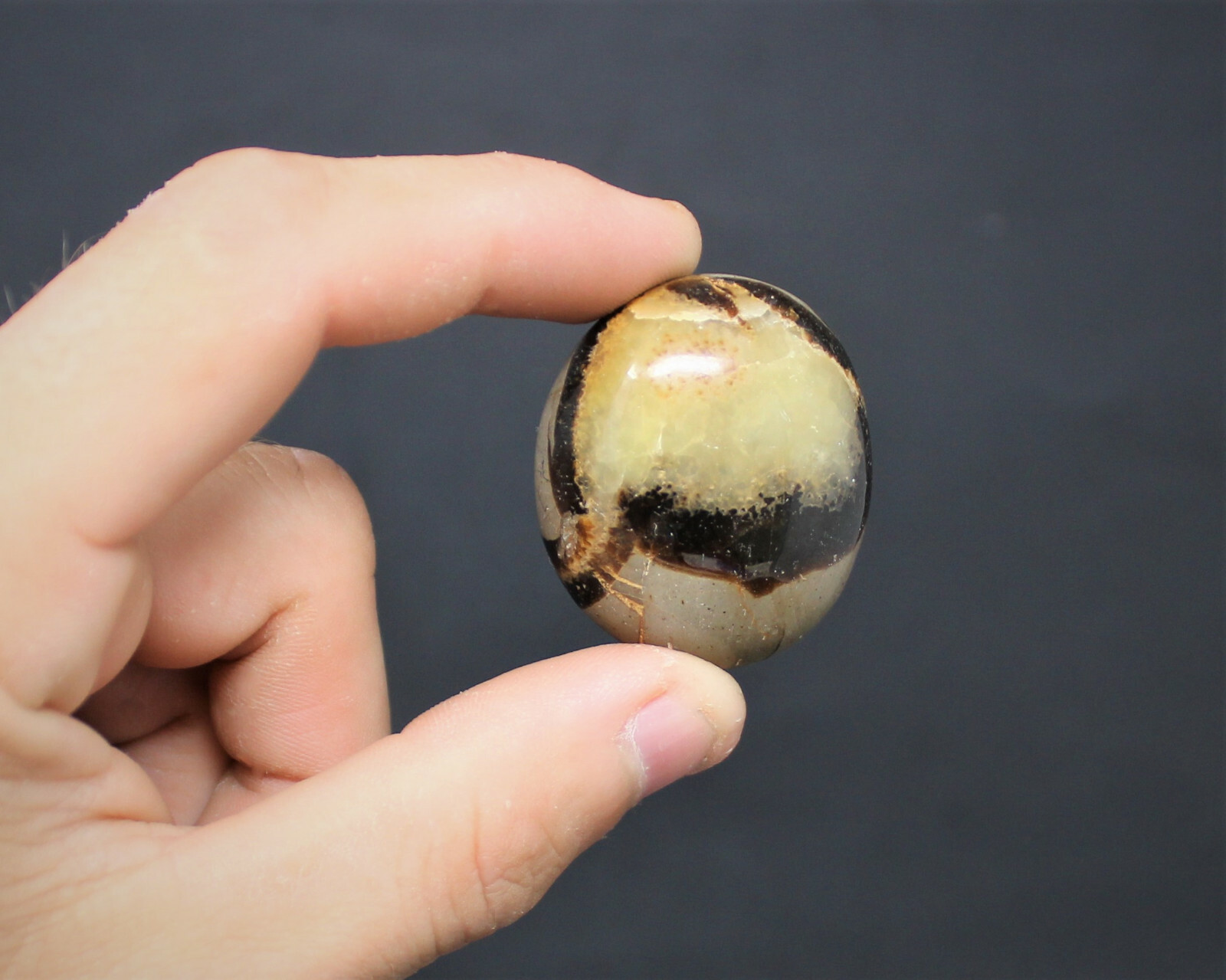 Septarian Hand Polished Palm Stone: ‘A’ Grade Septarian Pebble, Crystal