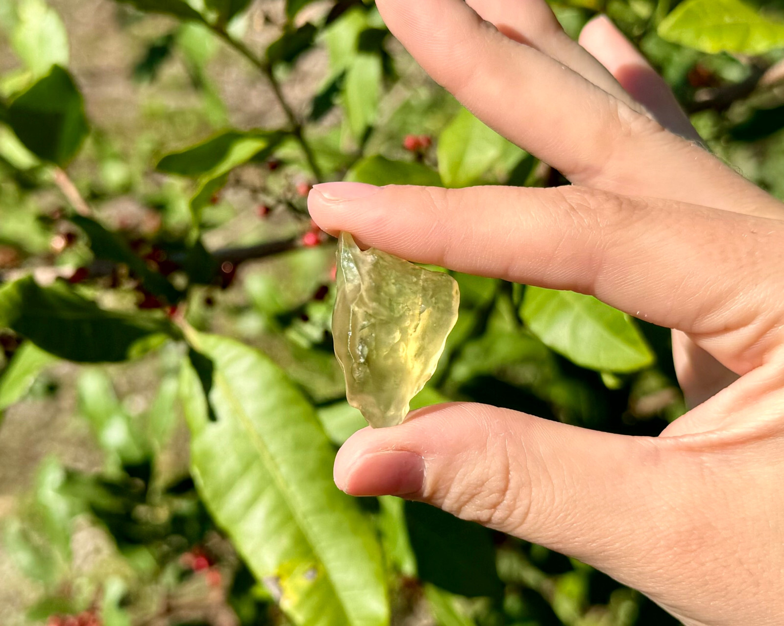 Natural Libyan Desert Glass – 100% Genuine Premium Quality Libyan Gold Tektite