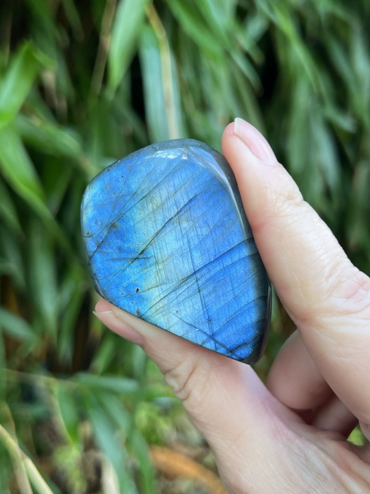 Deep Blue Labradorite Freeform Iridescent Crystal AAA+ 2