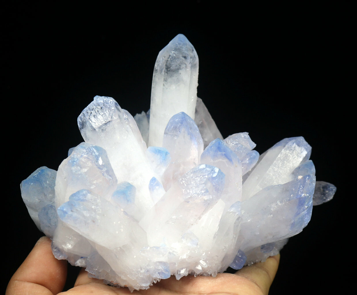 1.94lb Rare Beatiful Blue Tibetan Ghost phantom Quartz Crystal Cluster Specimen