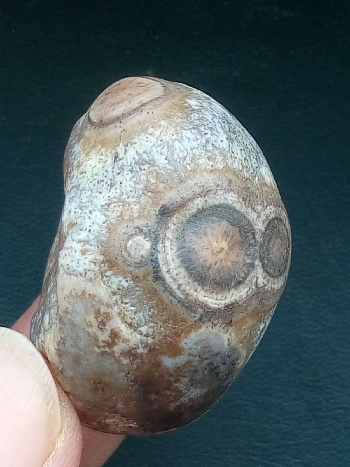 36mm Natural Gobi Agate eye agate collection