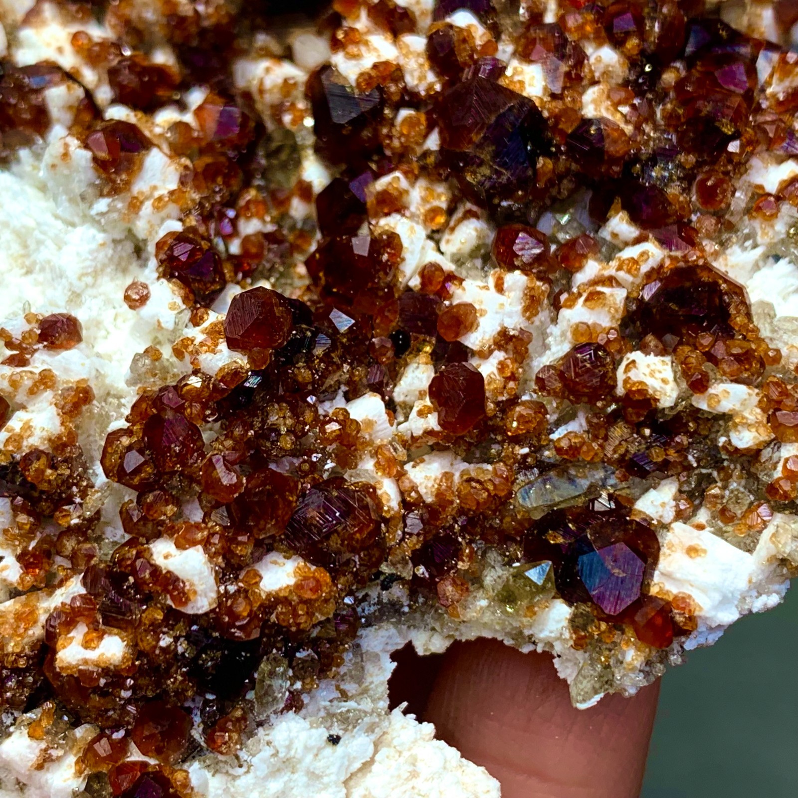 205G Natural Garnet with rock Gorgeous rough raw Crystal Mineral Specimen D32