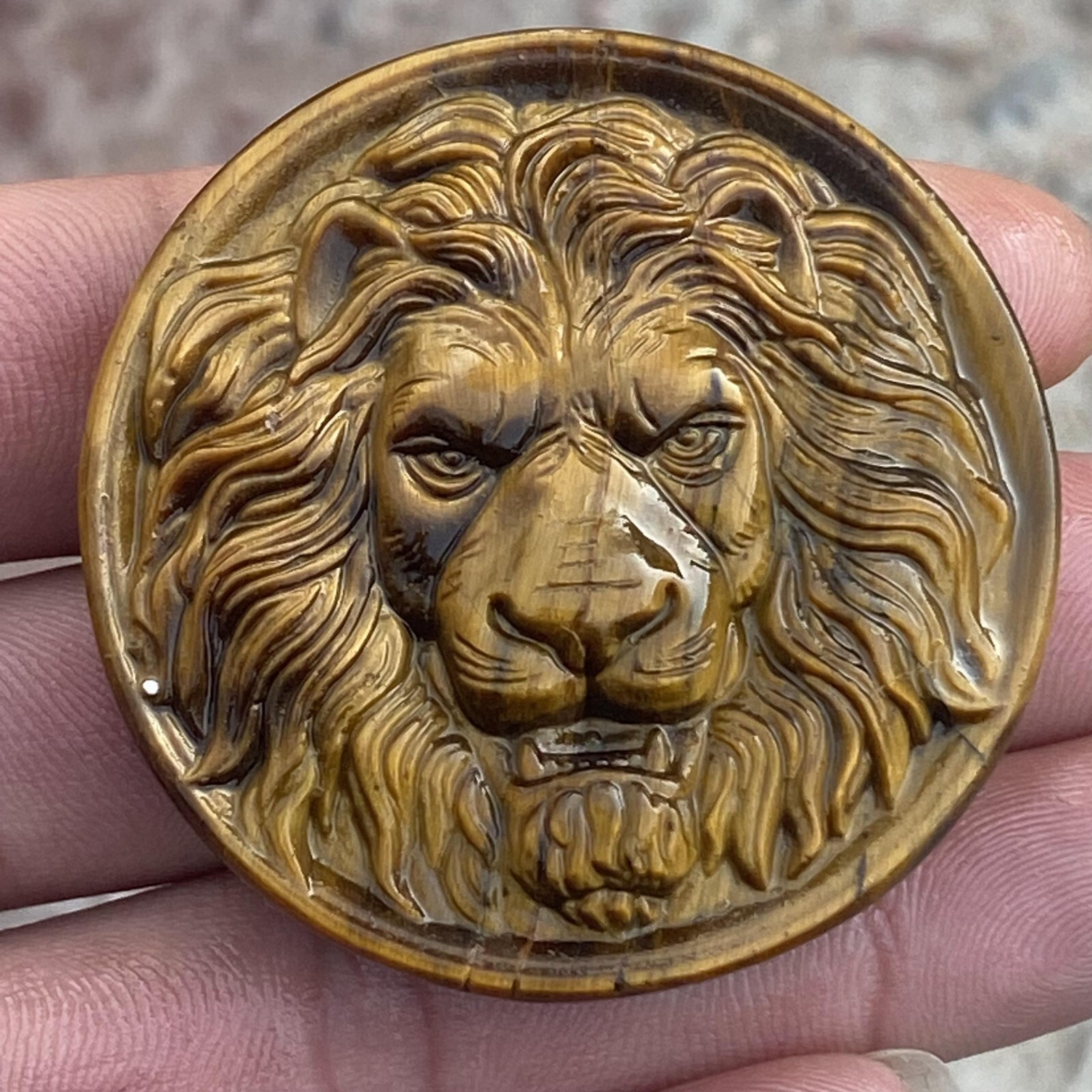 A++Natural Tiger’s eye Quartz Hand Carved Lion Skull Crystal Reiki healing 1pc