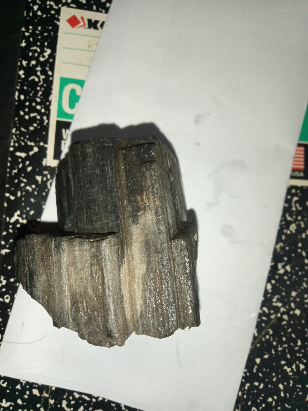 Beginning Stage Of Opalization On Petrafied Wood