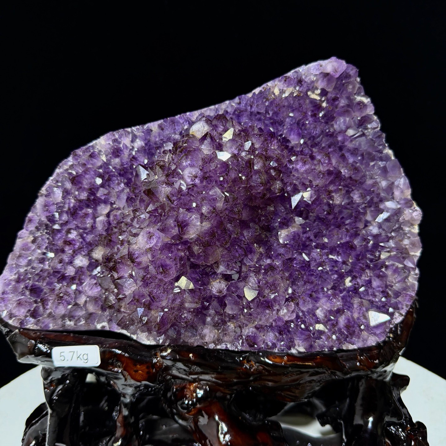 12lb RARE Top Natural Amethyst Geode Titanium Crystal Flower Cathedral Decor+ST