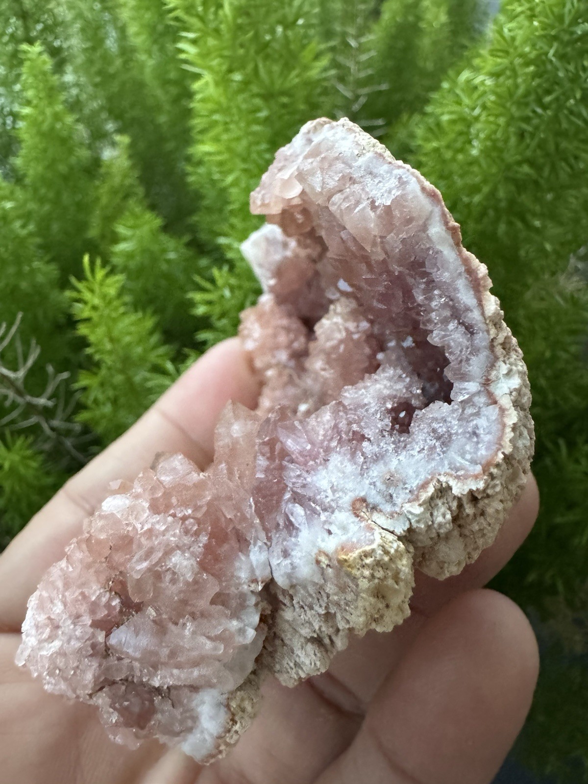 186g Grade A PINK AMETHYST GEODE -La Patagonia Argentina, El Choique Mine