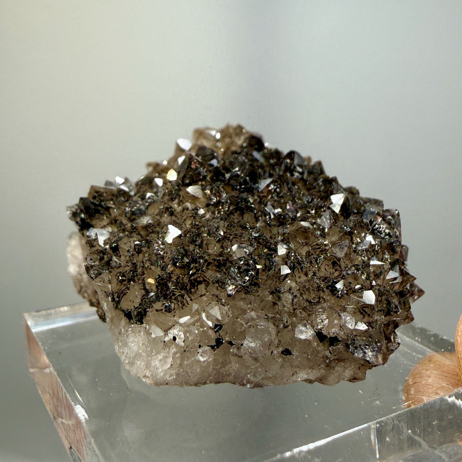 Herkimer Diamond Black + Gray Druze, Gemmy Points w/ Hydrocarbon, Rare Matrix