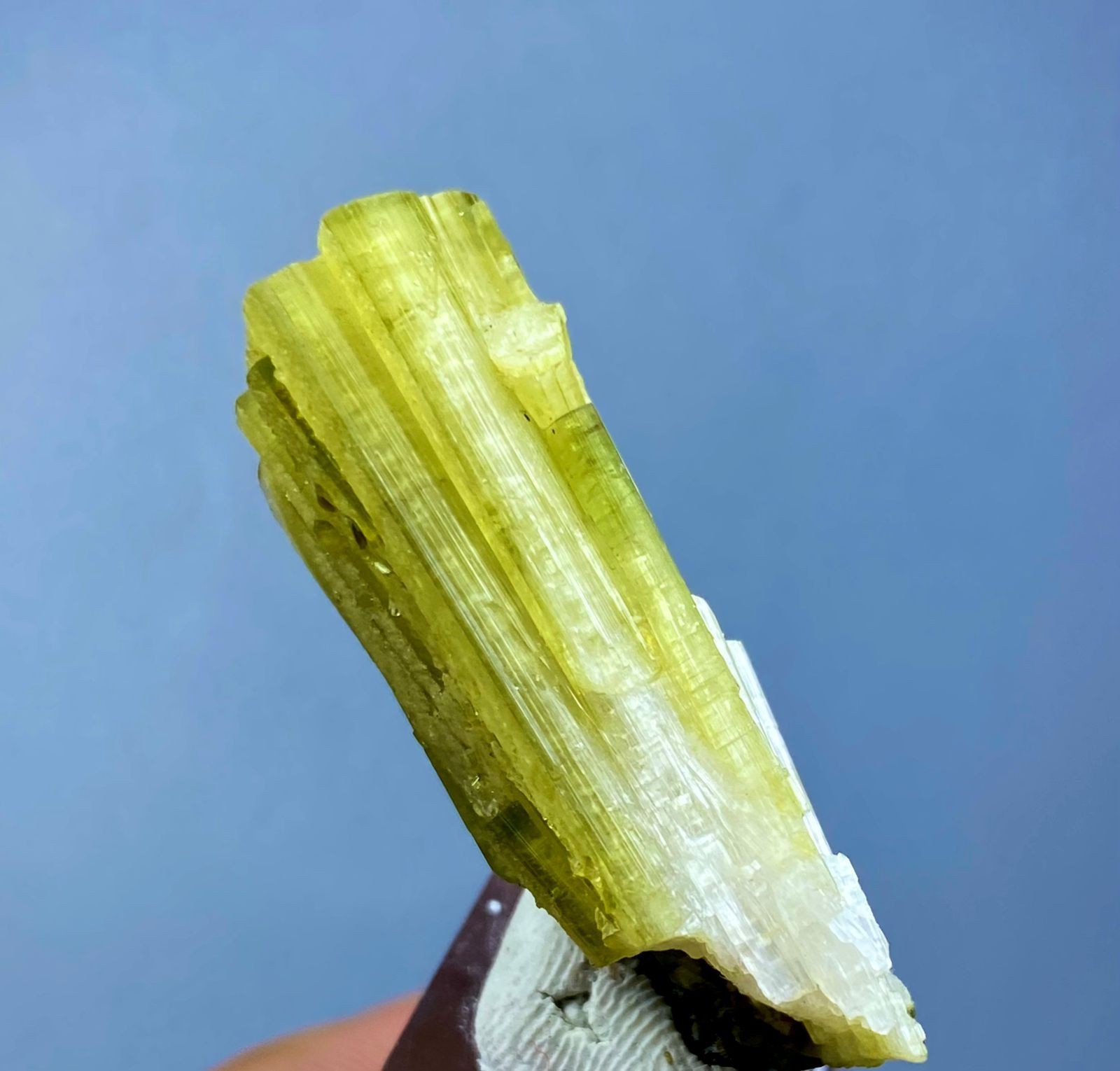 Natural Tourmaline Crystal Specimen Afghanistan 71 Carats