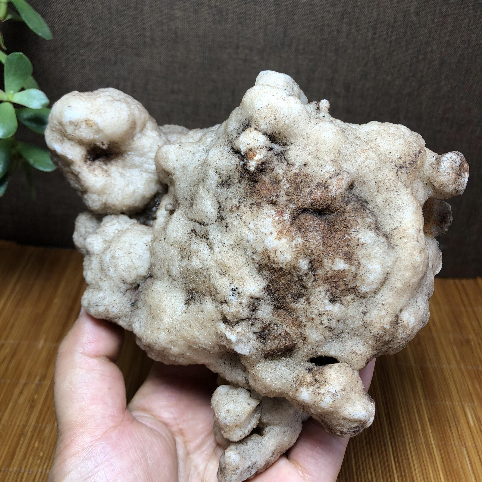 988g Rare Natural rough Agate original pretty Stunning Viewing 130mm A2728