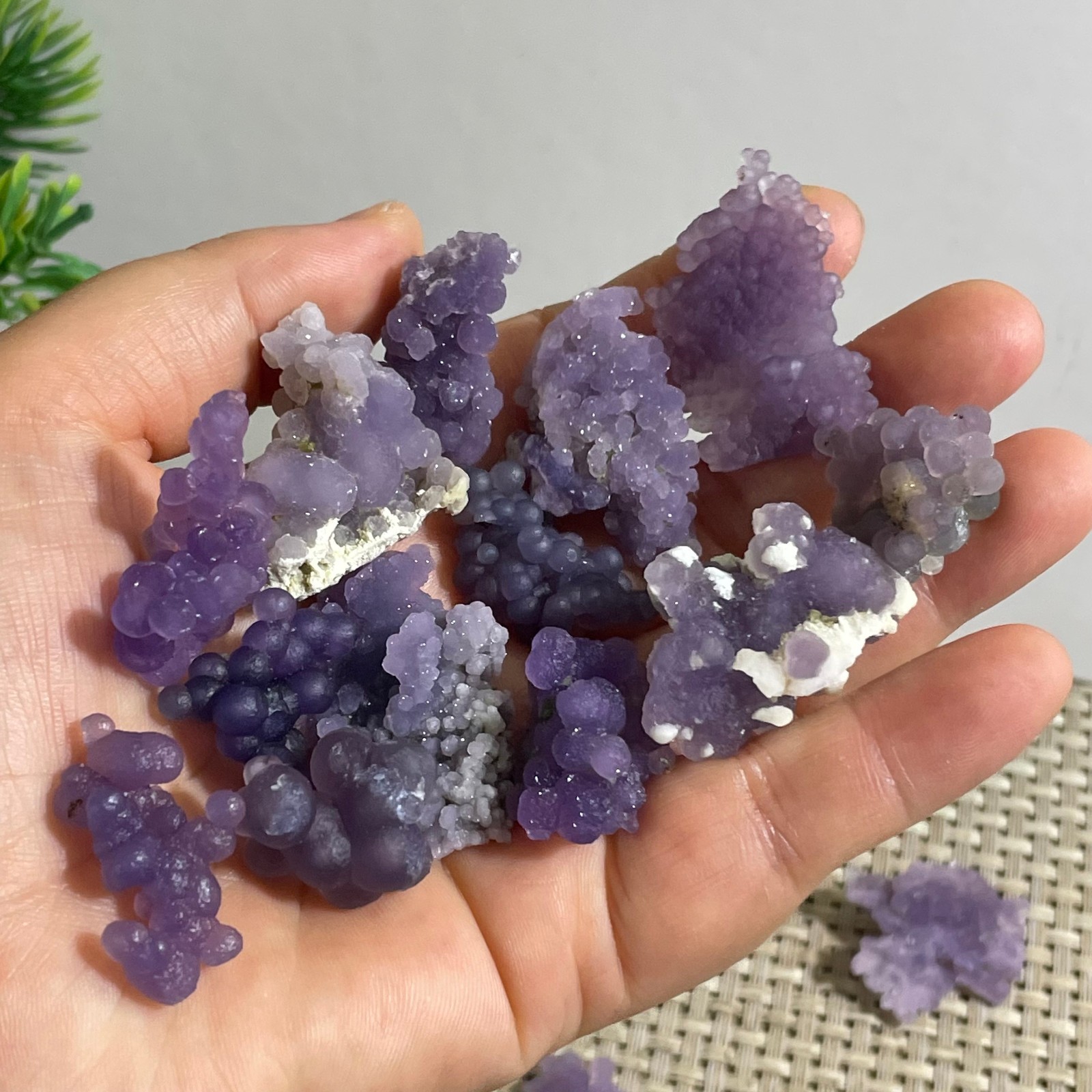 71g Purple stone, grape agate, quartz crystal, granular mineral 12pcs