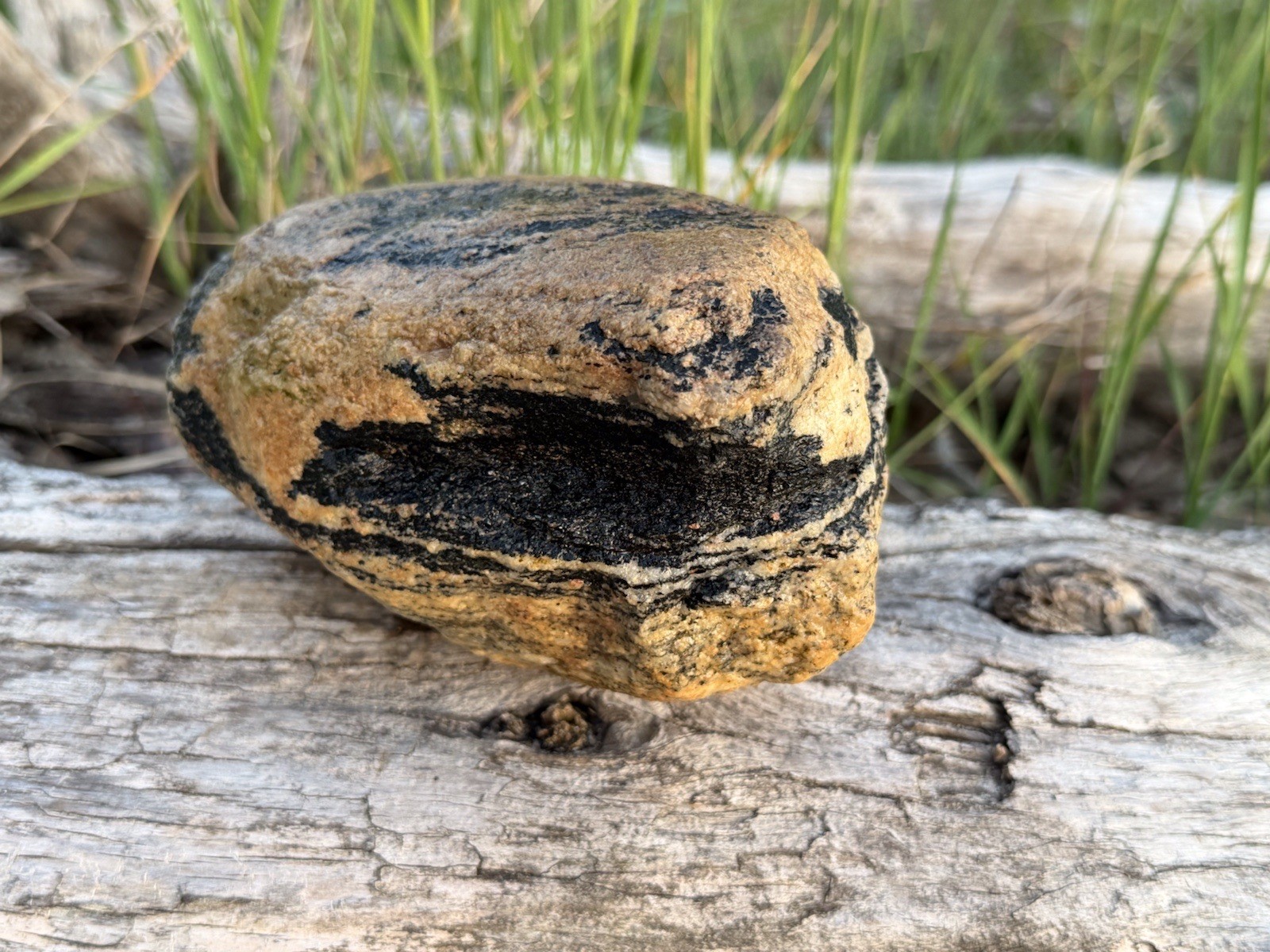 Natural Lake Michigan Rock Granite Large LOOK! 👀 3lb+ READ CAREFULLY