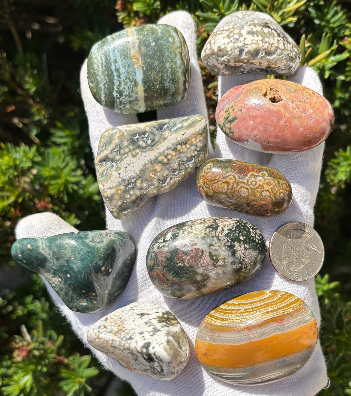 USA SALE 340g LOT XL/L TUMBLES OCEAN JASPER TUMBLES TUMBLE TUMBLED STONE STONES