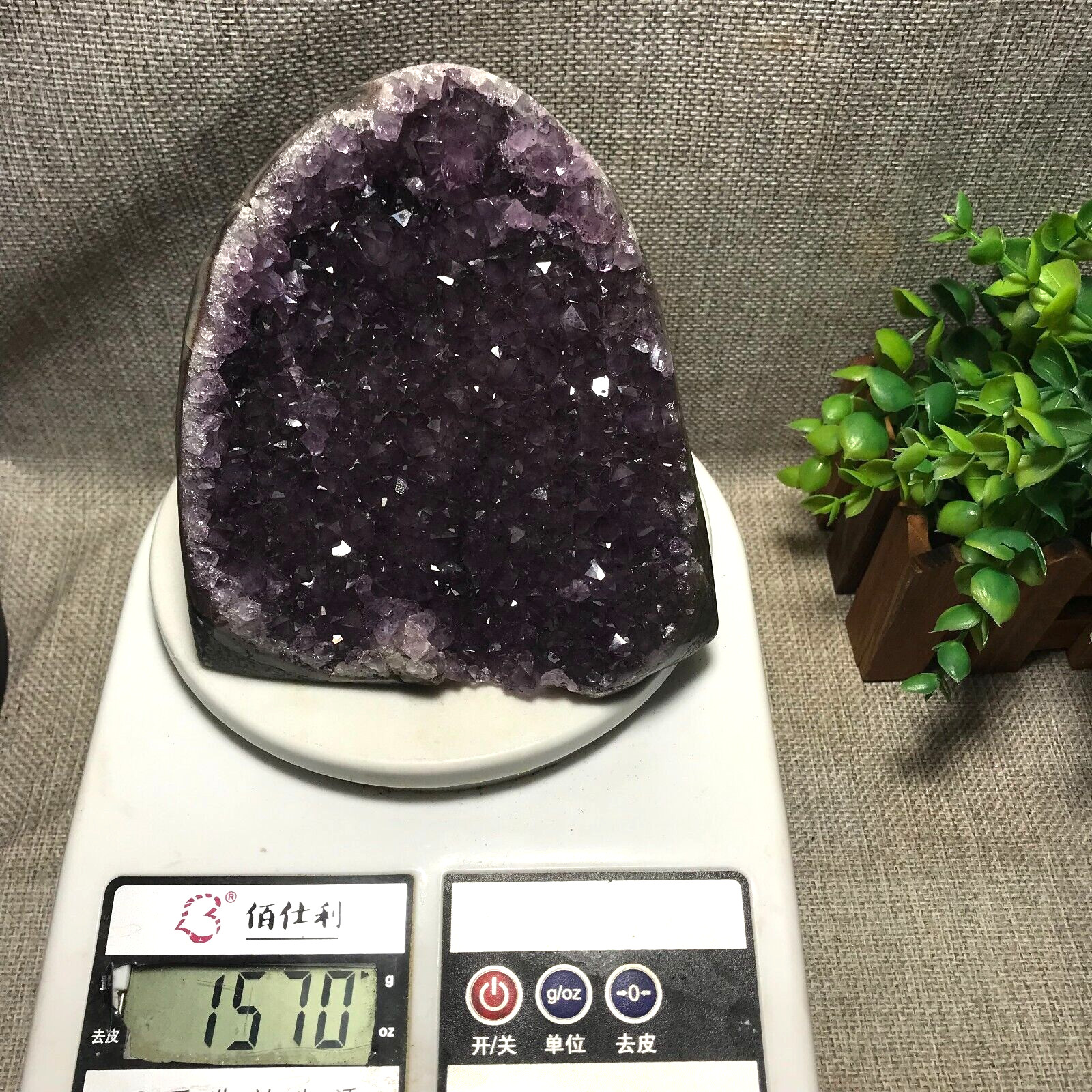 1570g Natural Amethyst Cluster Geodes Cut Base Quartz Crystal Healing 33