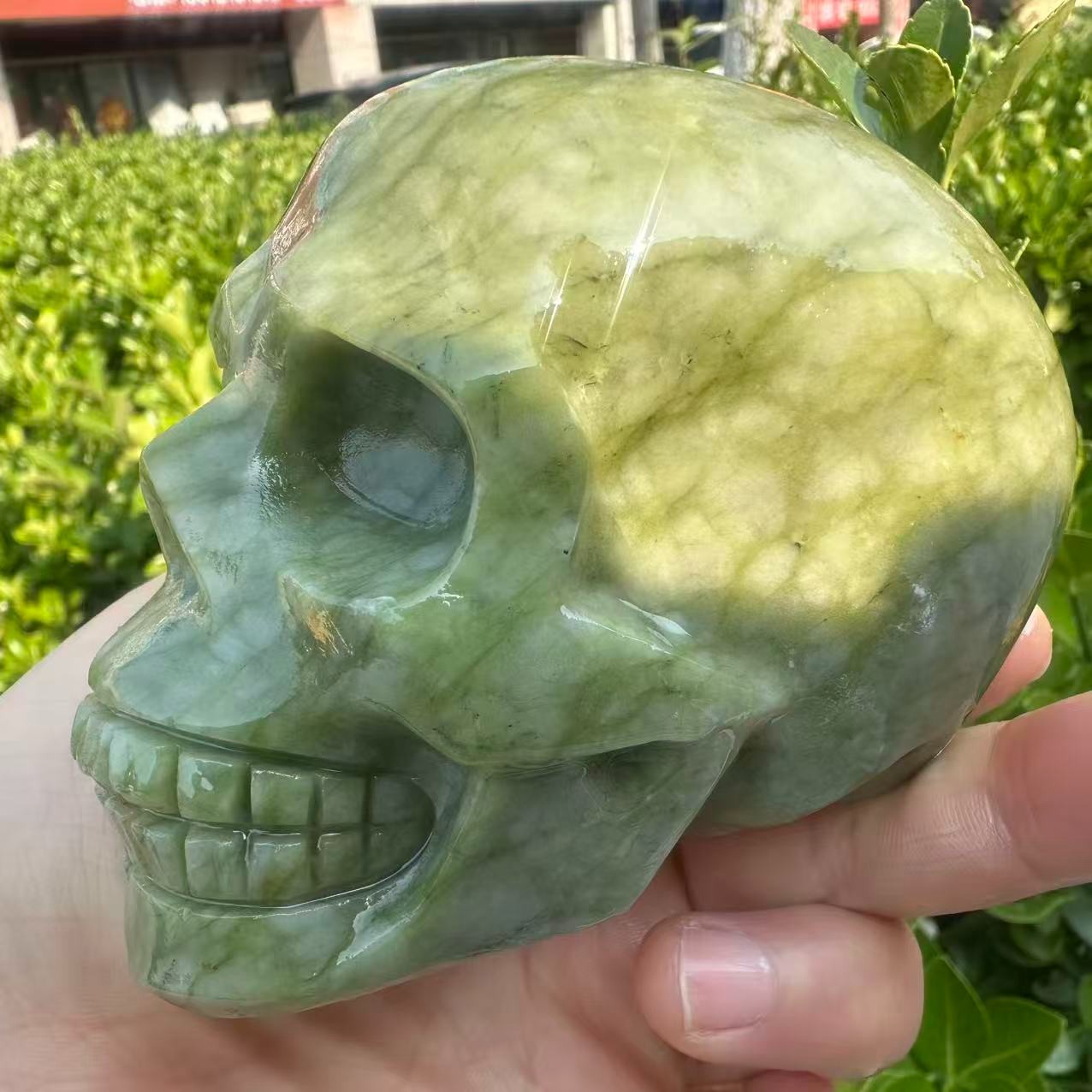 1pc Natural ophiolite carved Quartz Crystal skull Mineral Specimen
