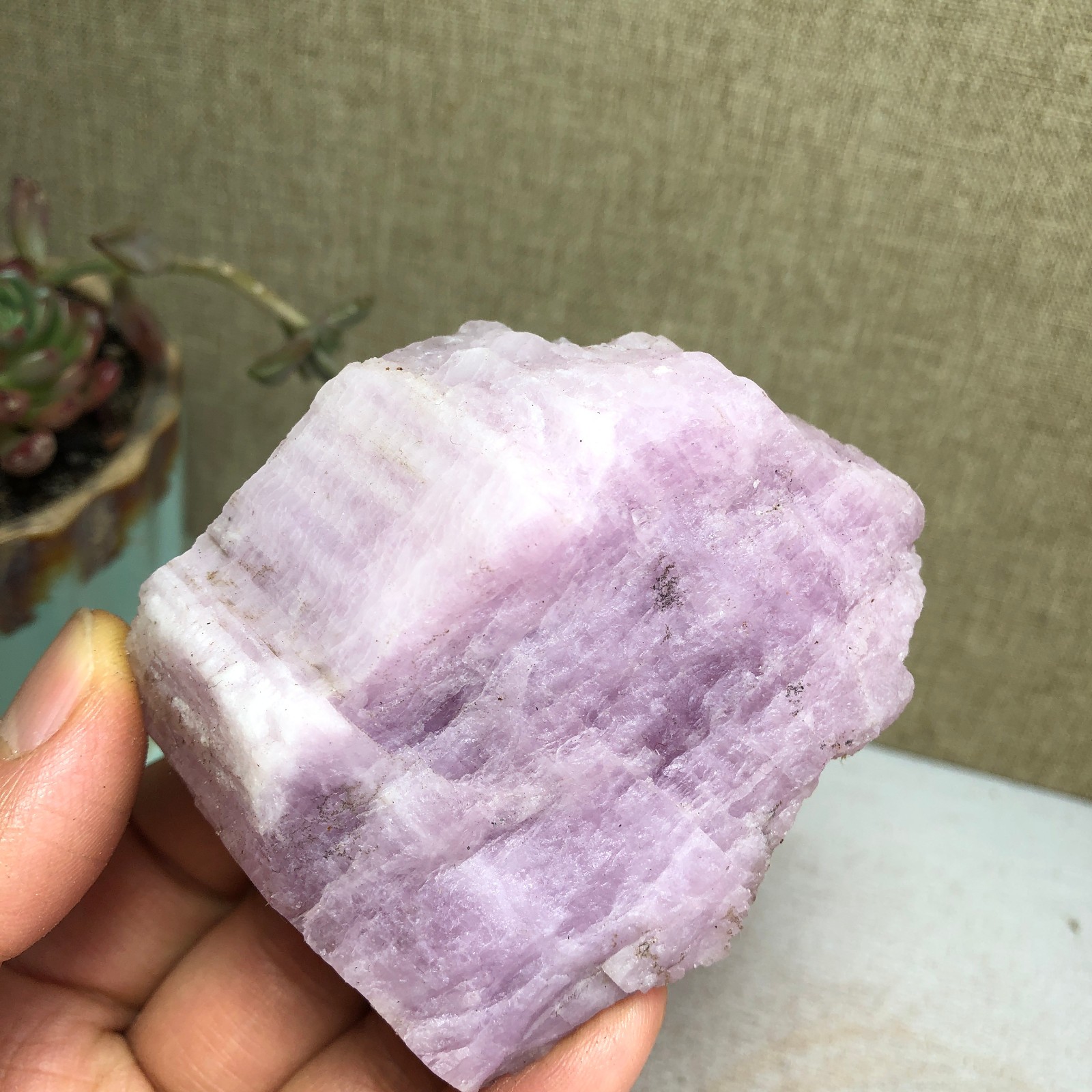 69-57-37mm NATURAL ROUGH KUNZITE PINK SPODUMENE CRYSTALS 194g A3647