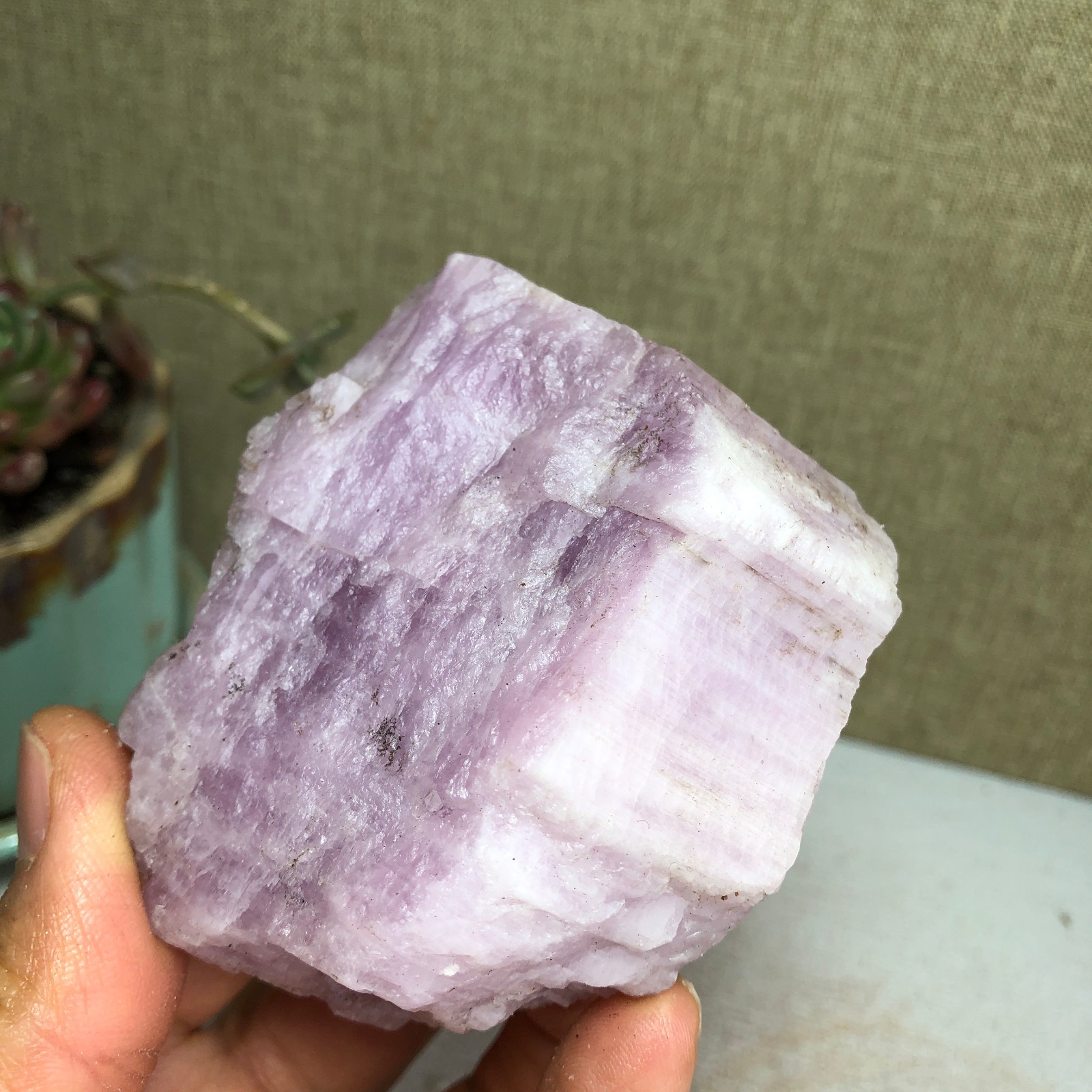 69-57-37mm NATURAL ROUGH KUNZITE PINK SPODUMENE CRYSTALS 194g A3647