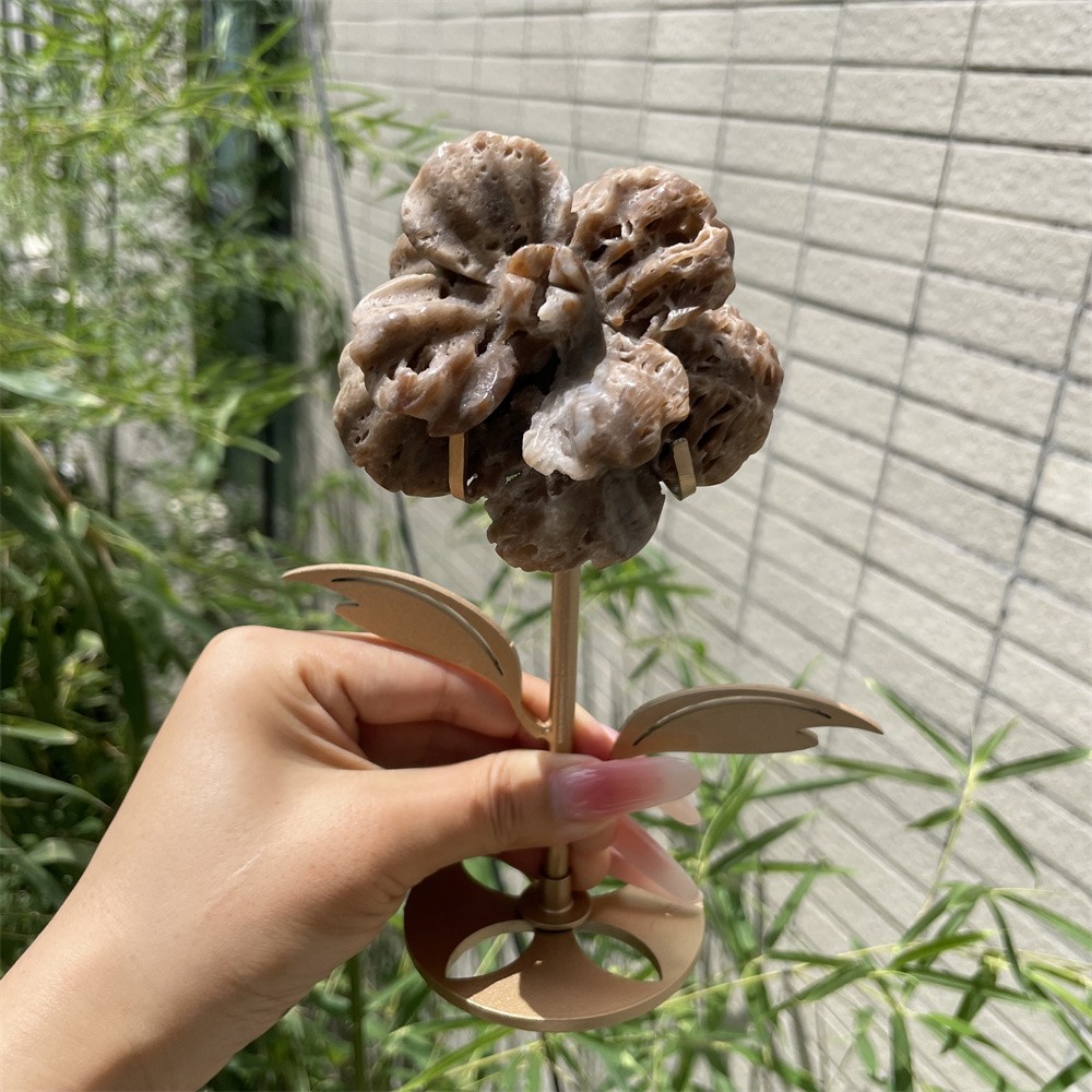 0.7LB 6.8″ Natural Sphalerite Geode Flower Carved Crystal Quartz Energy Decor
