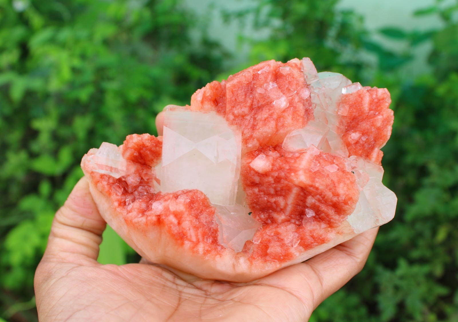 APOPHYLLITE CRYSTAL ON RED STILBITE MATRIX MINERAL SPECIMEN