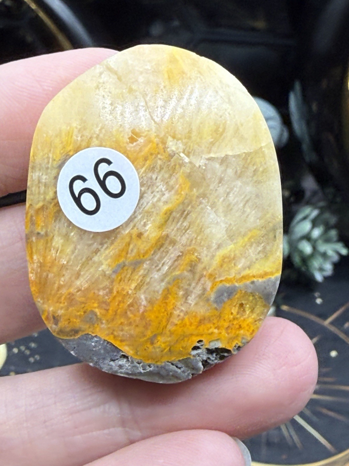 Natural Bumblebee Jasper Palms Druze vugs raw Free shipping
