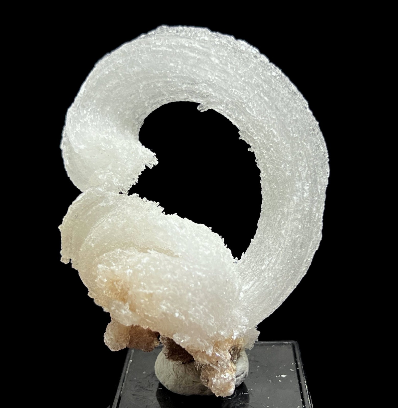 61mm 32g ‘Ram’s Horn’ shape Selenite (Gypsum), Natural Mineral Specimen