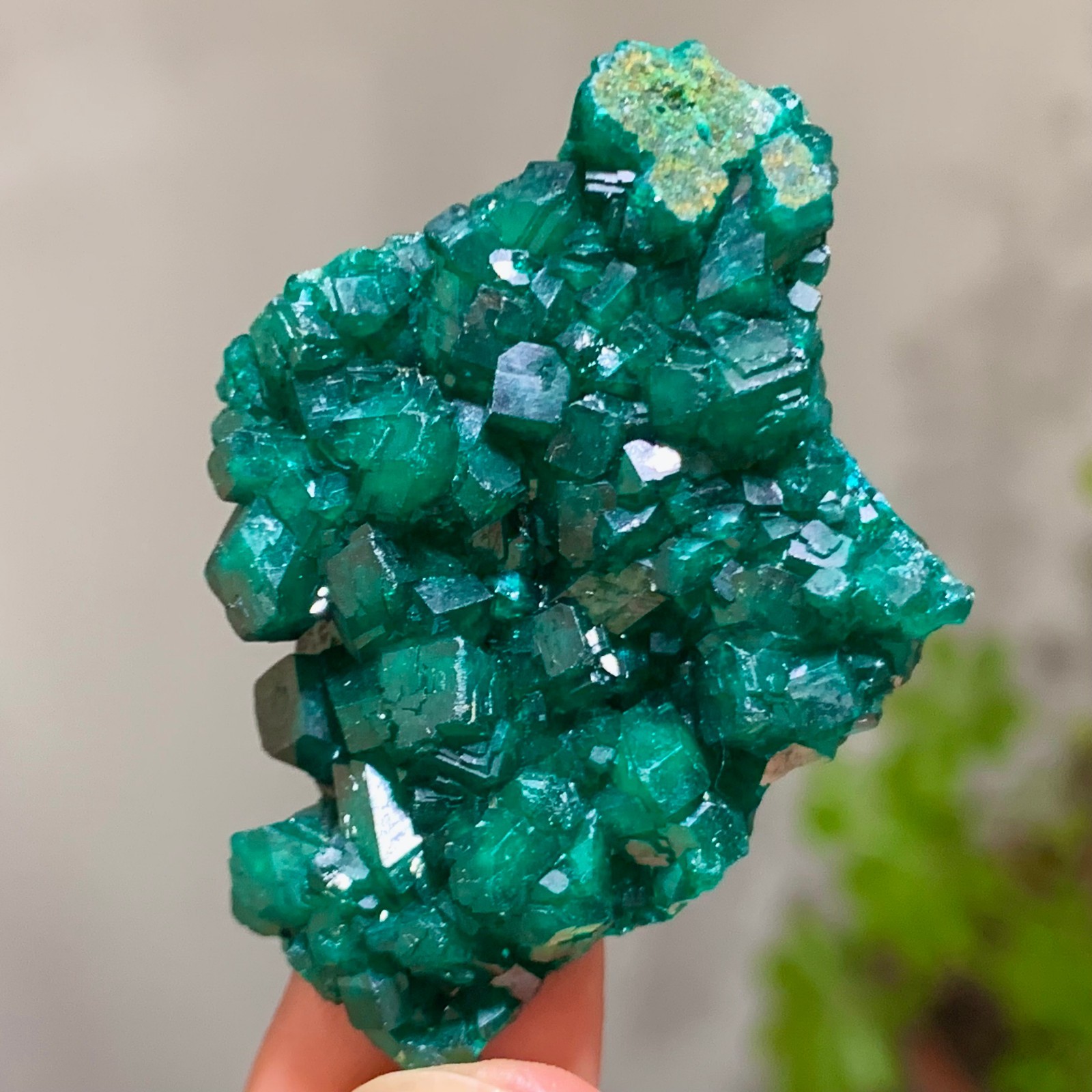 15G Natural green dioptase emerandine gemstone cluster mineral specimen