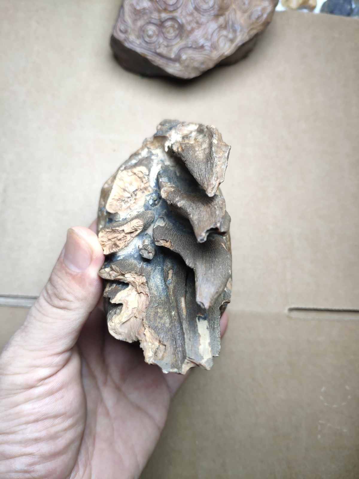 530g Beautiful Clear texture landscape stone