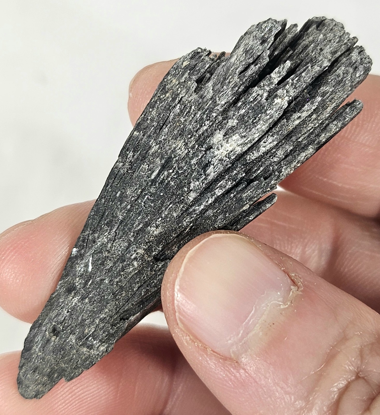 Natural Rough Black Kyanite Fan Blade – Witch’s Broom Crystal Healing Specimen