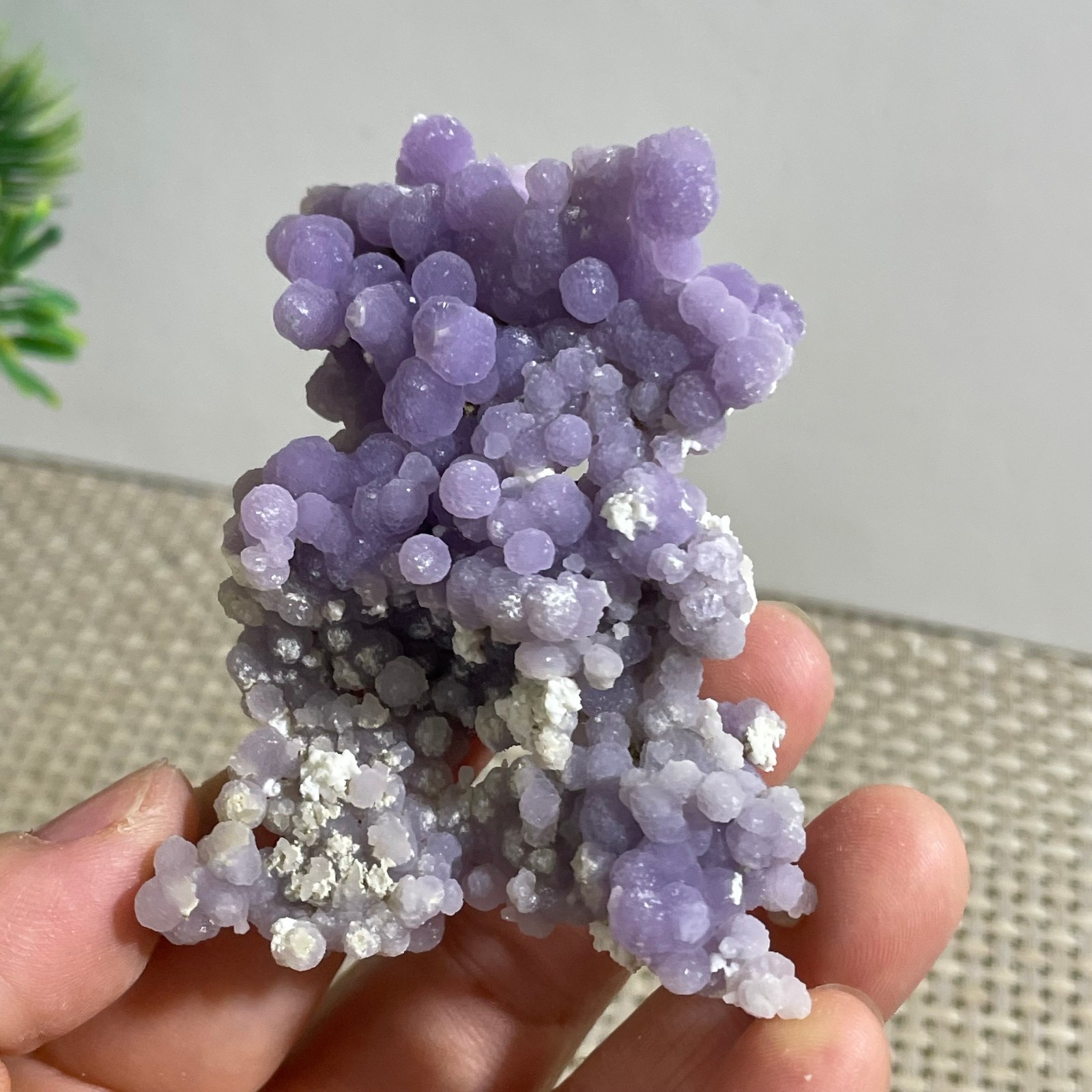 50g Purple stone, grape agate, quartz crystal, granular mineral
