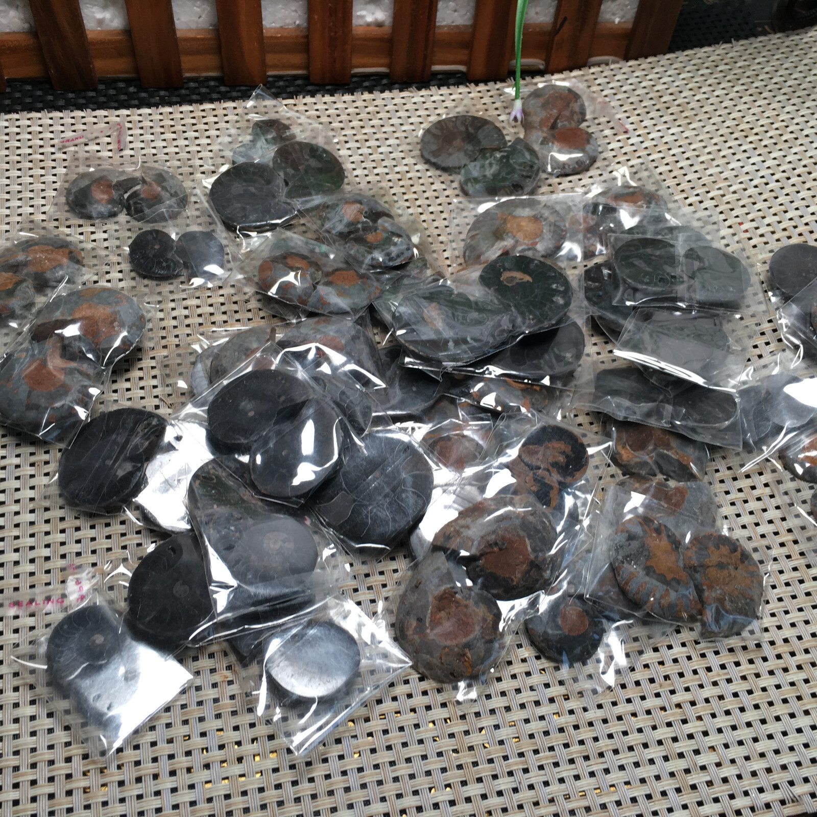 20 Pairs Black Ammonite Shell Specimen Madagascar
