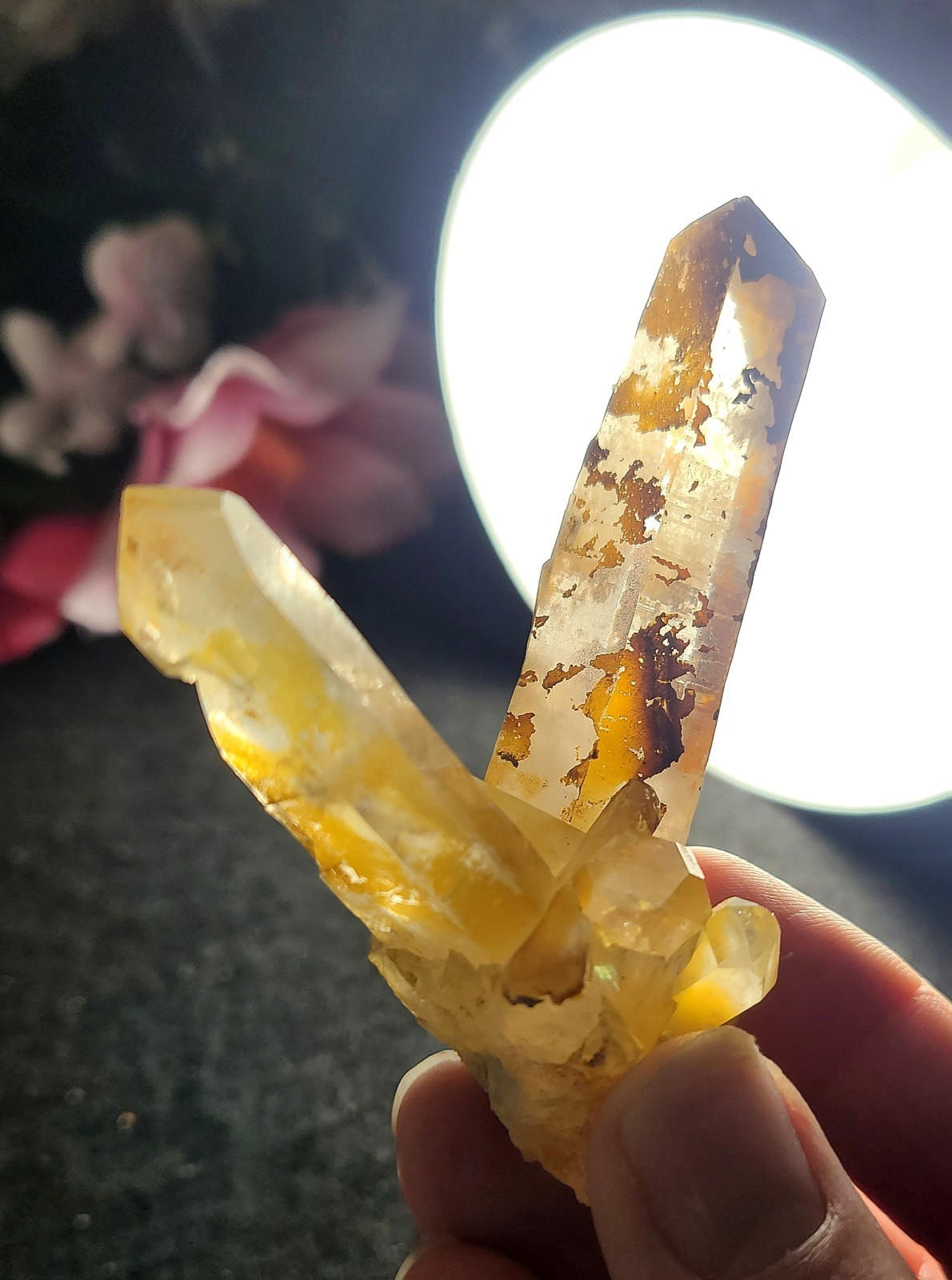 3.4″ 76g Pretty V Shape Golden Healer Quartz Crystal Cluster Stone Specimen