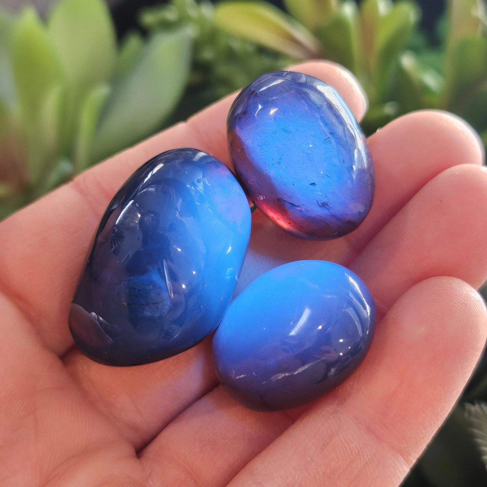 Blue Amber Specimen, Polished Amber from Indonesia