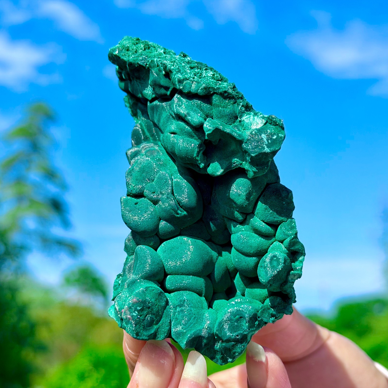 253G Natural VELVET Malachite cat’s eye specimen crystal rough mineral-Congo