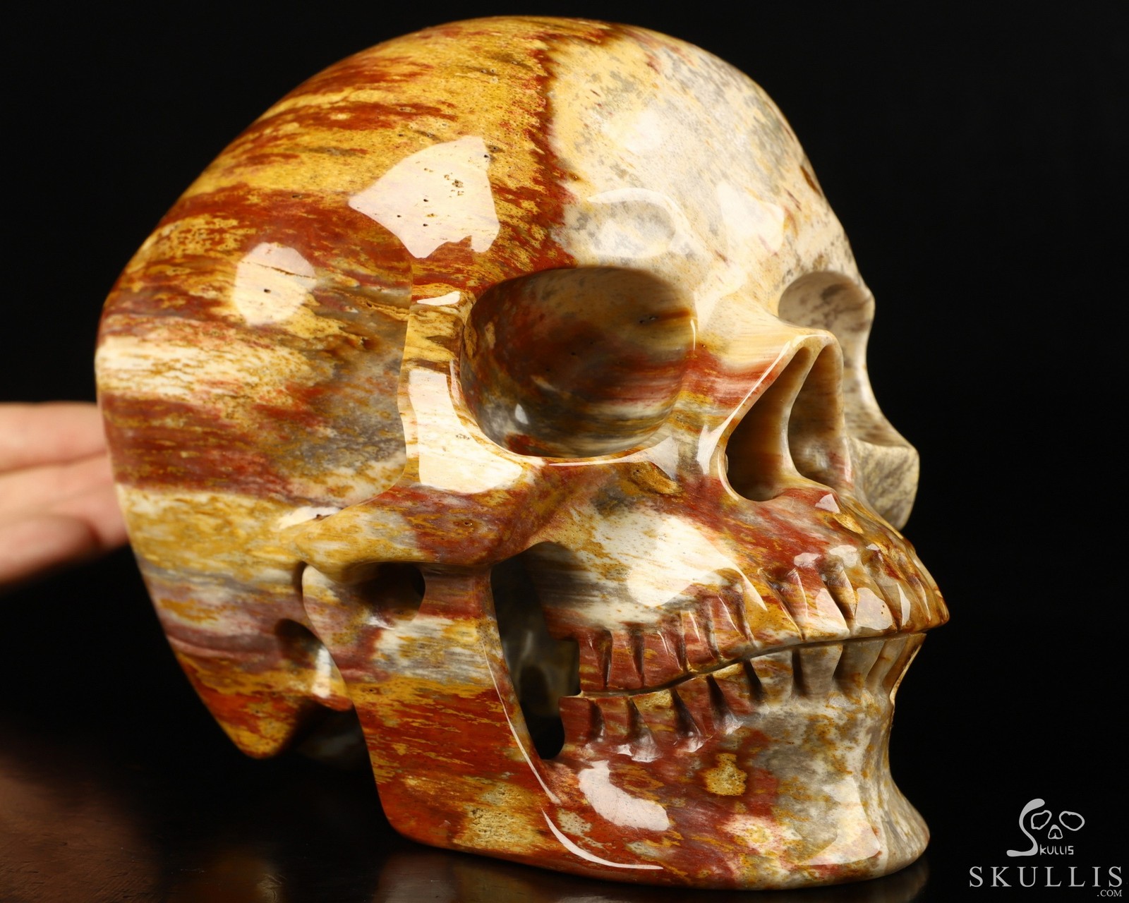 Lifesized 7.0″ Petrified Wood Carved Crystal Skull,Super Realistic, Healing