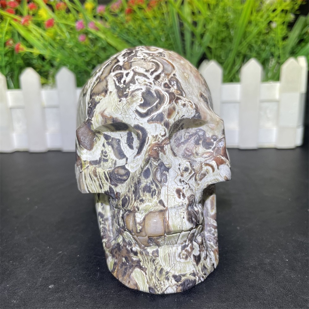 2.1LB 3.9″ Natural Money Agate Skull Crystal Quartz Carving Reiki Decoration
