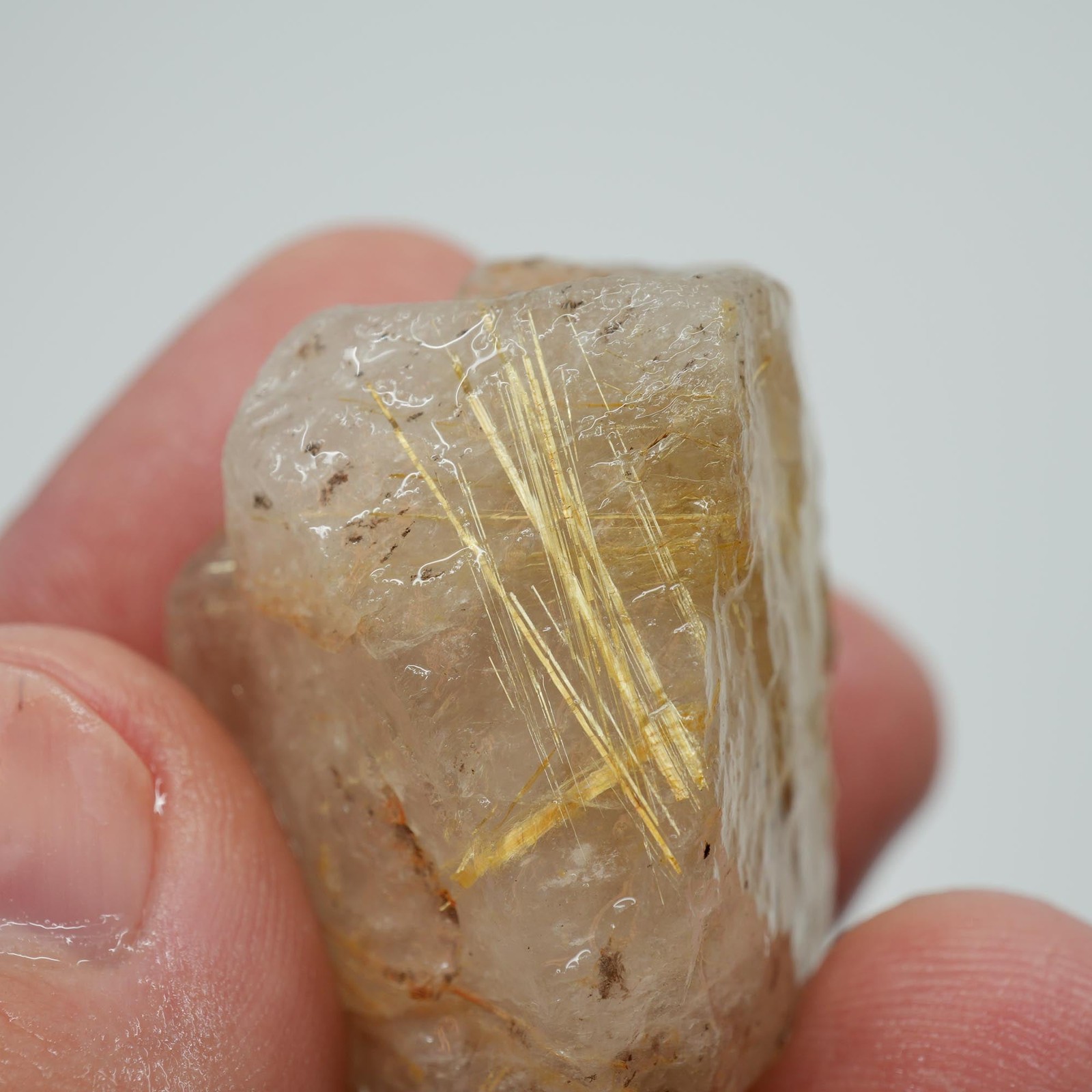 Rutilated Quartz – Golden Rutile Needles – Brazilian Crystal Specimen