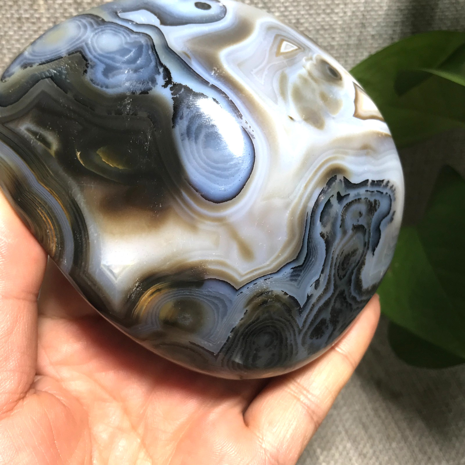 376g Natural Aquatic Plants Agate Ink landscape painting ornament Madagascar 23