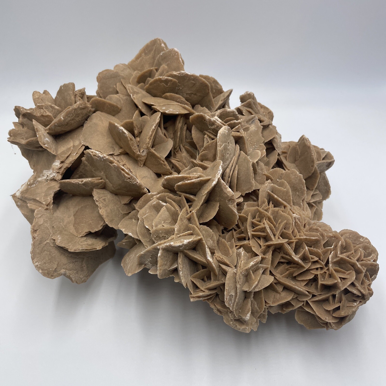 #1 Selenite Gypsum Crystal Desert Rose Specimen 11lb 10oz (5280g) Cluster