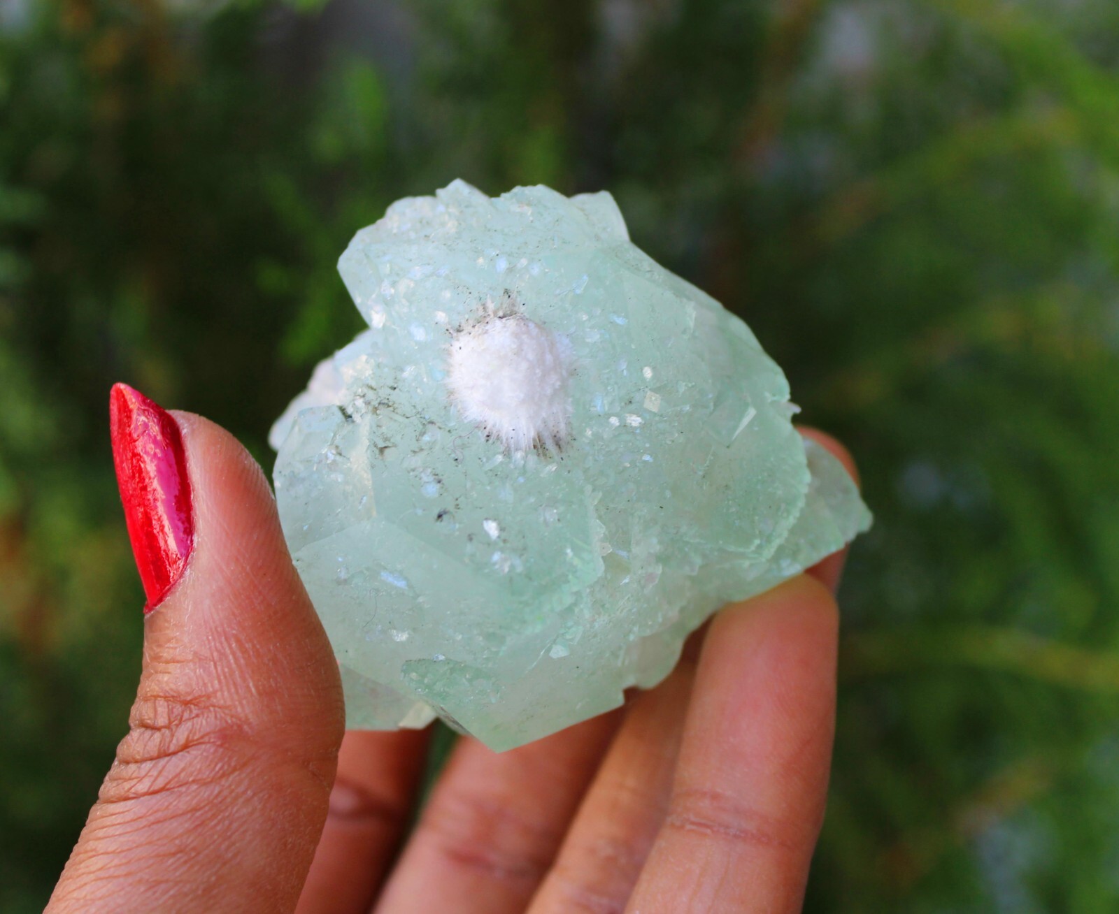 Green Apophyllite Crystal w/ Okenite Natural Minerals Specimen ( 5×4 Cm’s )