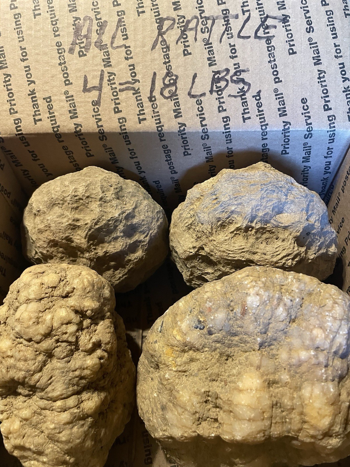 BOX OF KENTUCKY GEODES:4 BIG GEODES ALL RATTLE *4=18 LBS* ALL RATTLE