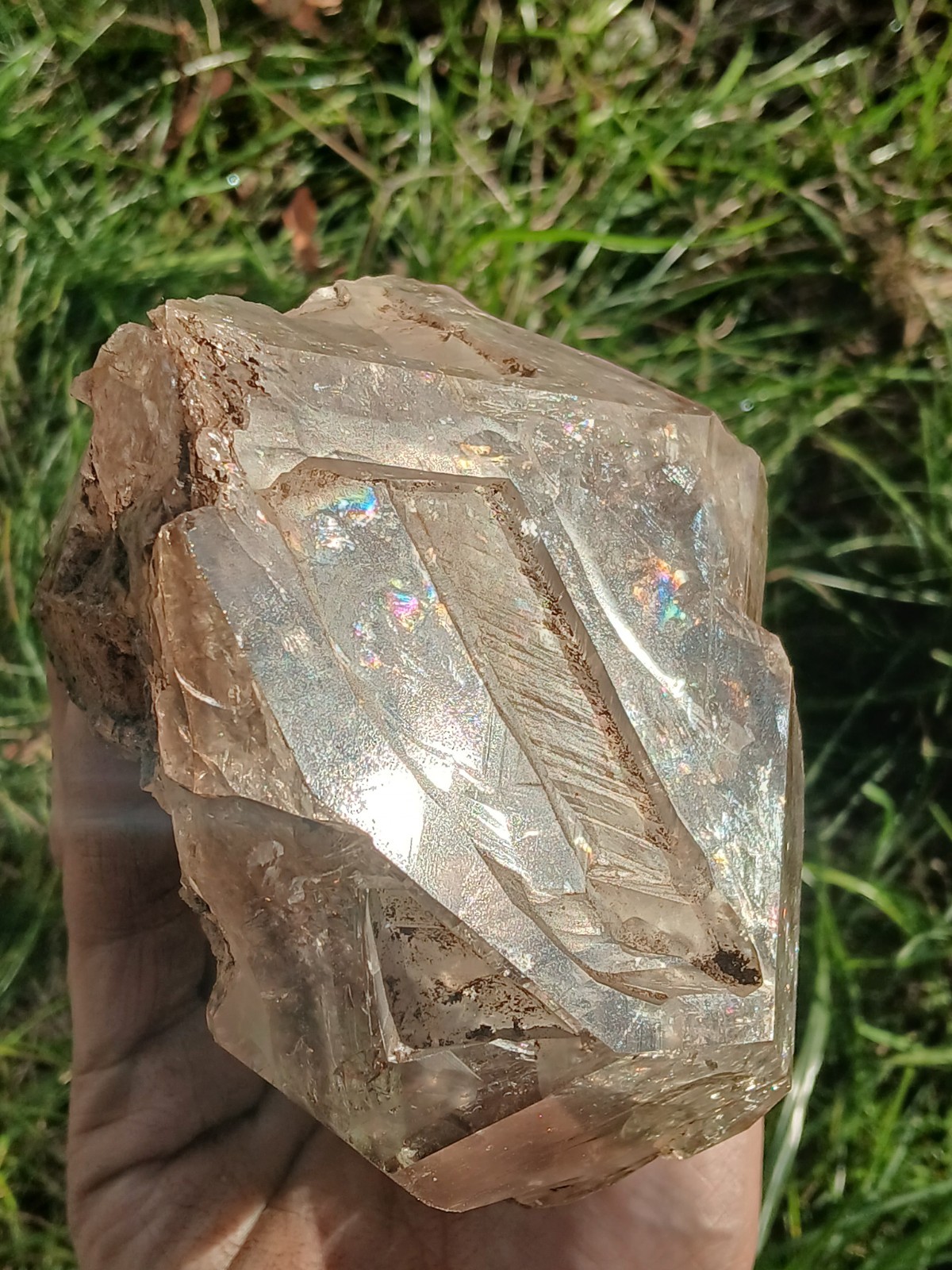 🔥 Huge 4.6 Pounder Herkimer 💎 (Skeletal Honker) Self Collected In NY ❤️