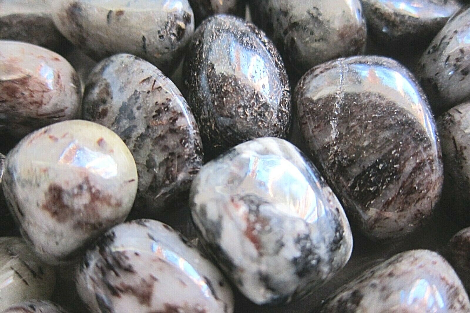 1X Astrophyllite Rare Tumbled Stone 20-25mm Reiki Healing Crystal High Energy