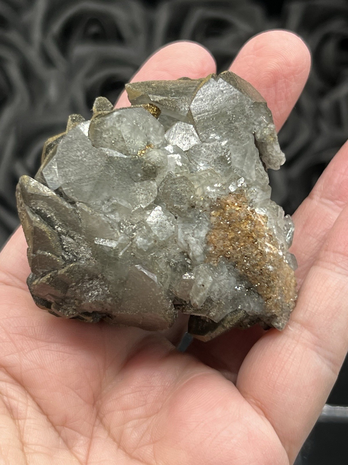 Natural Pyritic “Benz Coin” Calcite Specimen great Formation Free ship & Gift