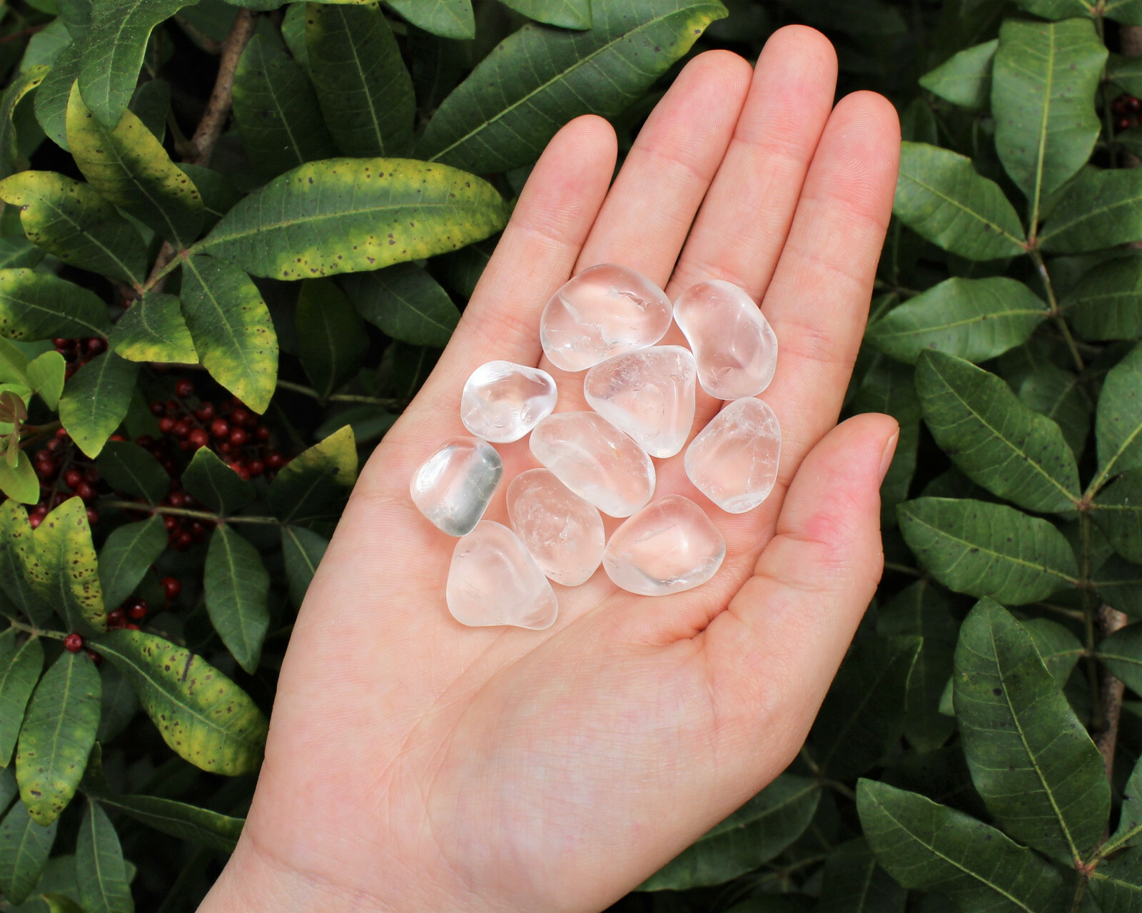 1/4 lb Bulk Lot Clear Quartz Tumbled Stone (Crystal Healing Metaphysical) 4 oz