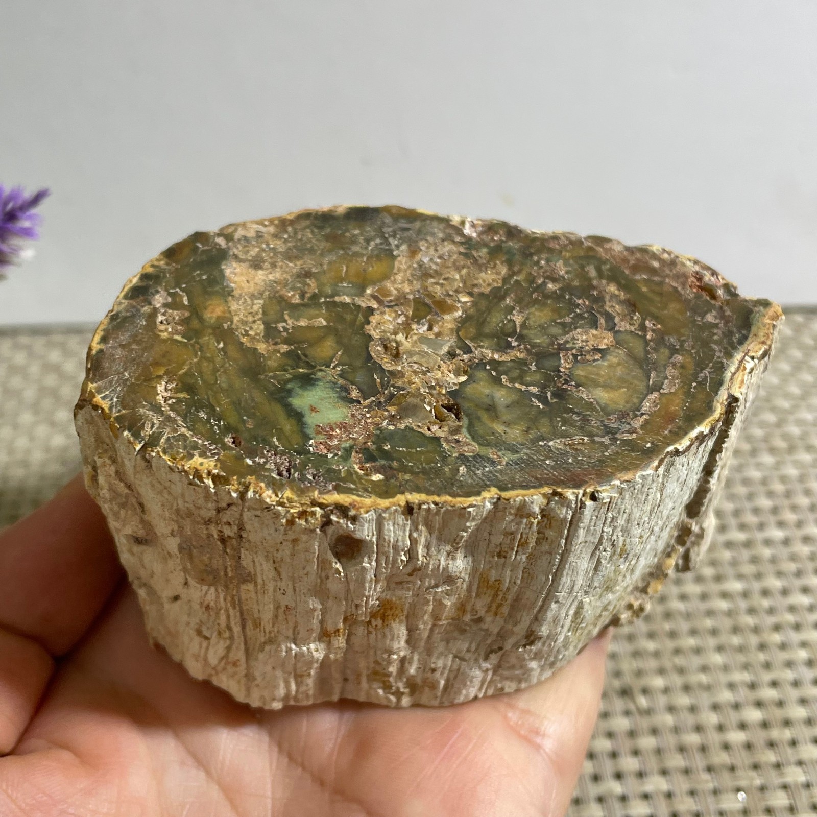 Natural Polished Petrified Wood Crystal Slice Madagascar 315g