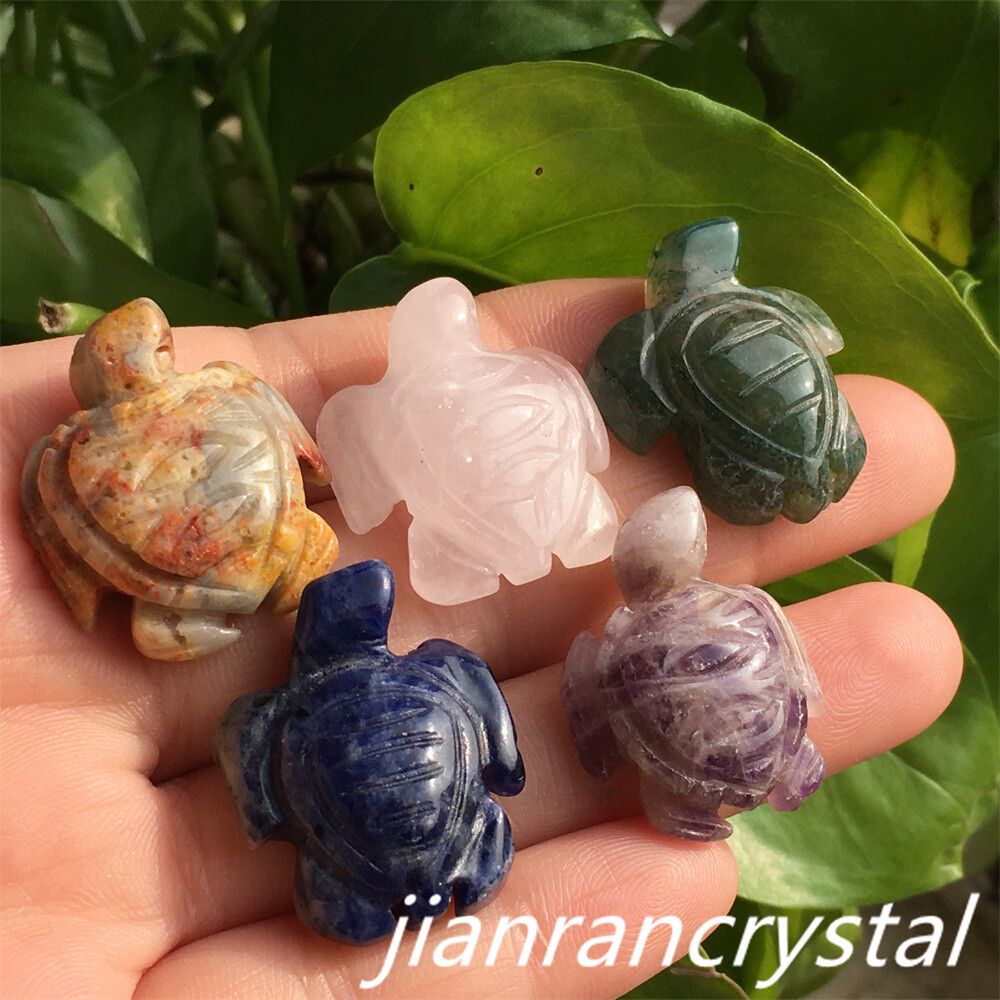 5pcs Mix Natural Quartz Tortoise Carved Mini Quartz Crystal Skull Reiki Healing