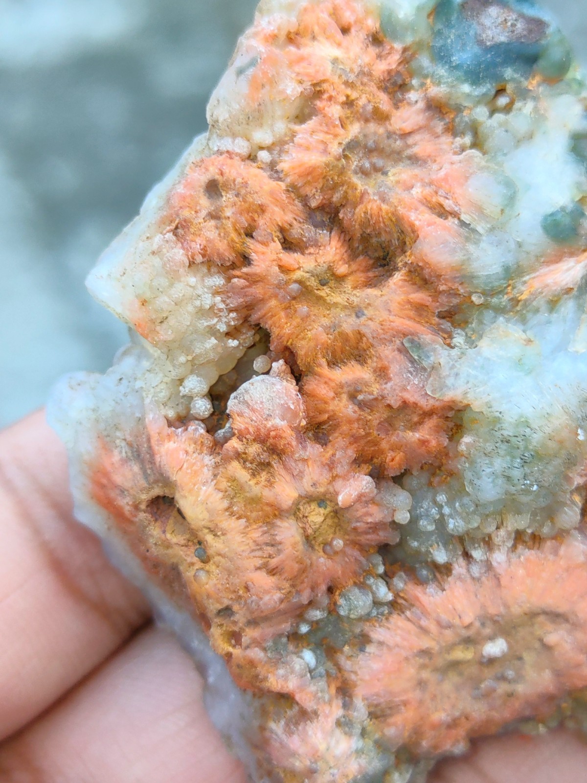 Sun flower with Chalcedony ( Red Scolecite Flower with Chalcedony