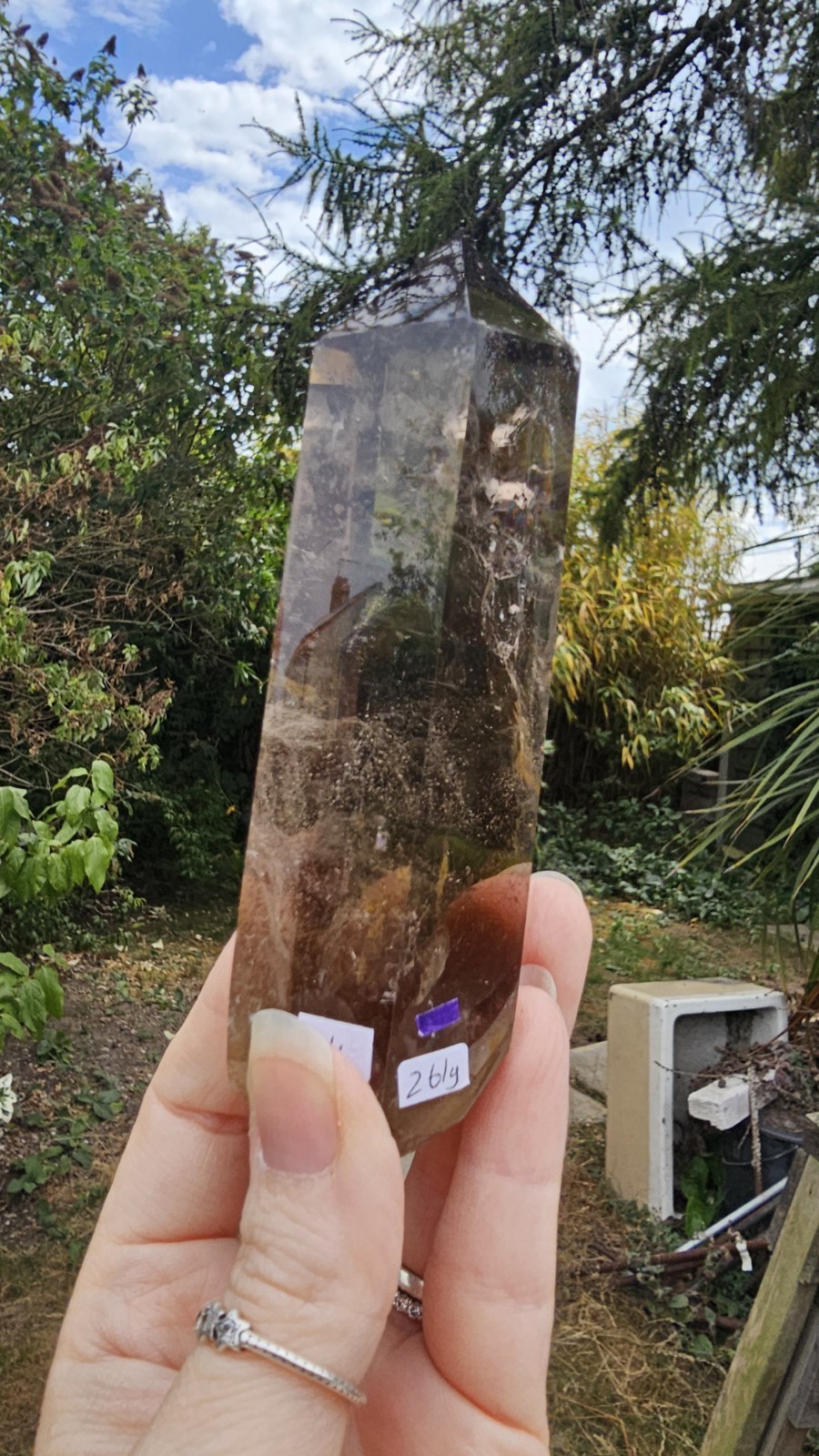 A Grade Smokey Quartz Freeform On Wood Root Base Point 261g 15.5cm smoky
